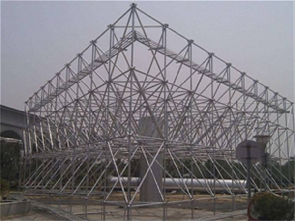 应城仓储物流网架加工厂家案例